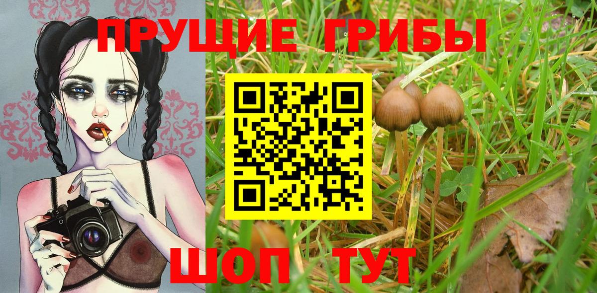 Галлюциногенные грибы Magic Shrooms Тельмана