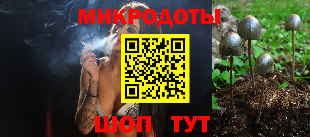 Псилоцибиновые грибы прущие грибы  Вход с VPN  Тельмана 